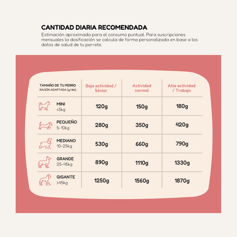 Comida Natural Cocinada de Ternera y Pavo para Perro Adulto