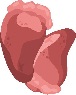 CORAZÓN