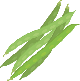 JUDÍAS VERDES