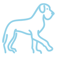 Perro gigante