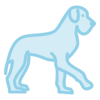 Perro gigante
