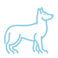 Perro grande
