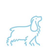 Perro mediano