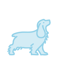Perro mediano