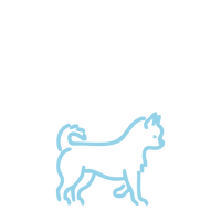 Perro extra pequeño