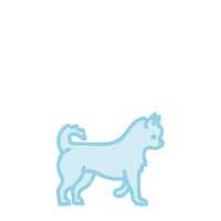 Perro extra pequeño