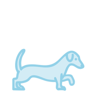 Perro pequeño