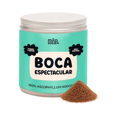 Boca espectacular de Milo y Lola